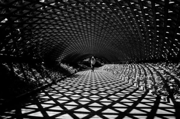 Photograph Teruo Araya Web Of Shadows on One Eyeland